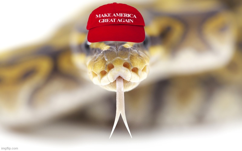 Retrumplicans Speak With Forked Tongues | image tagged in trump,maga,maga hat,liar trump,liars | made w/ Imgflip meme maker