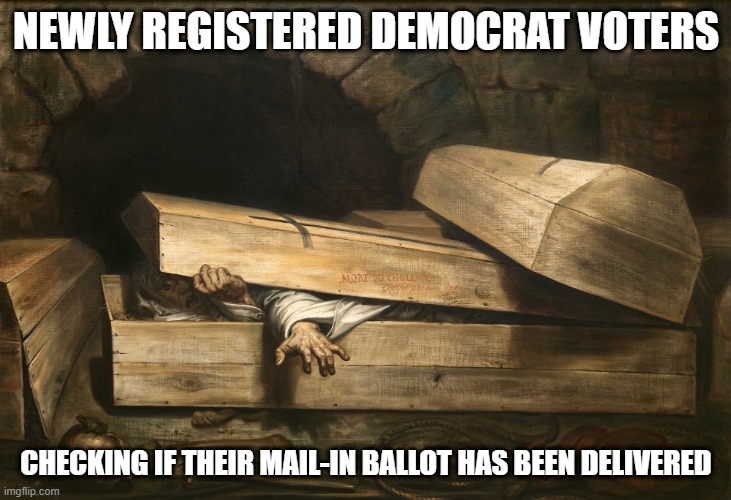 NEWLY REGISTERED DEMOCRAT VOTERS CHECKING IF THEIR MAIL-IN BALLOT HAS BEEN DELIVERED | made w/ Imgflip meme maker