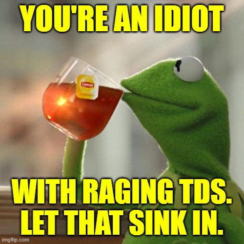 But That's None Of My Business Meme | YOU'RE AN IDIOT WITH RAGING TDS.
LET THAT SINK IN. | image tagged in memes,but that's none of my business,kermit the frog | made w/ Imgflip meme maker