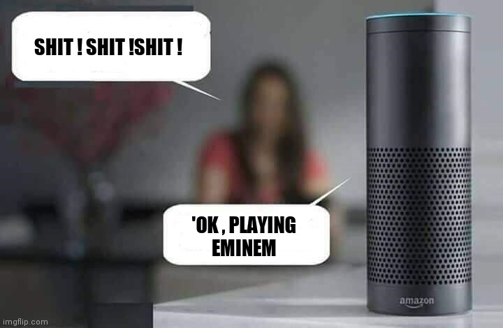 Alexa do X | SHIT ! SHIT !SHIT ! 'OK , PLAYING
EMINEM | image tagged in alexa do x | made w/ Imgflip meme maker