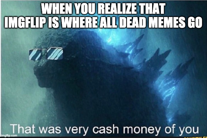 lol | WHEN YOU REALIZE THAT IMGFLIP IS WHERE ALL DEAD MEMES GO | image tagged in dead memes | made w/ Imgflip meme maker