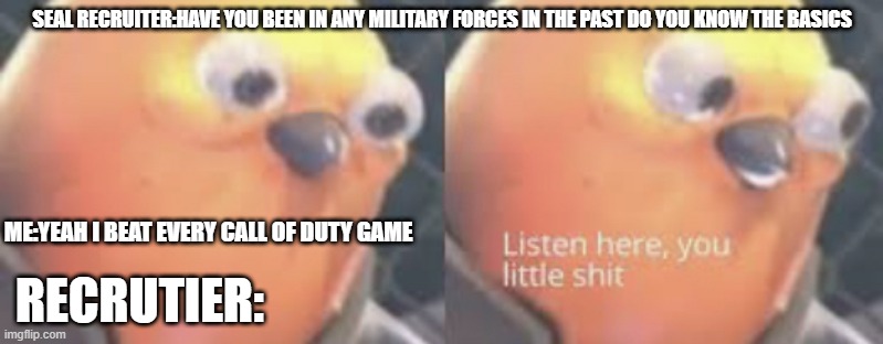 basically every cod pro who gets over confident | SEAL RECRUITER:HAVE YOU BEEN IN ANY MILITARY FORCES IN THE PAST DO YOU KNOW THE BASICS; ME:YEAH I BEAT EVERY CALL OF DUTY GAME; RECRUTIER: | image tagged in listen here you little shit bird | made w/ Imgflip meme maker