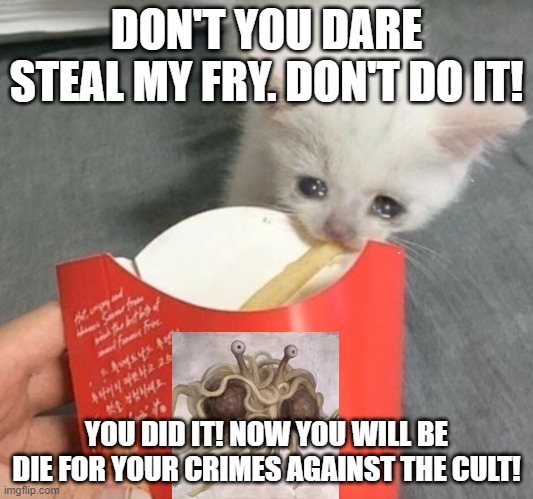 cat stealing mcdonalds fry | DON'T YOU DARE STEAL MY FRY. DON'T DO IT! YOU DID IT! NOW YOU WILL BE DIE FOR YOUR CRIMES AGAINST THE CULT! | image tagged in cat stealing mcdonalds fry,cult,pasta | made w/ Imgflip meme maker