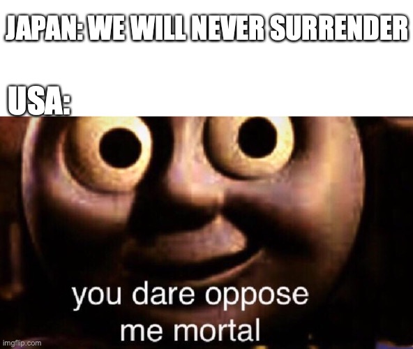 ww2 in one meme | JAPAN: WE WILL NEVER SURRENDER; USA: | image tagged in you dare oppose me mortal | made w/ Imgflip meme maker