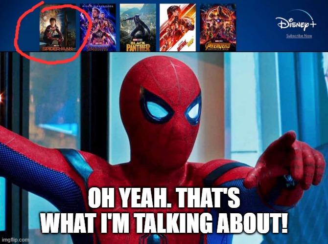 Is Spider-Man: Homecoming and Spider-Man: Far From Home coming to Disney+? | OH YEAH. THAT'S WHAT I'M TALKING ABOUT! | image tagged in spider-man,disney plus,marvel cinematic universe,marvel | made w/ Imgflip meme maker