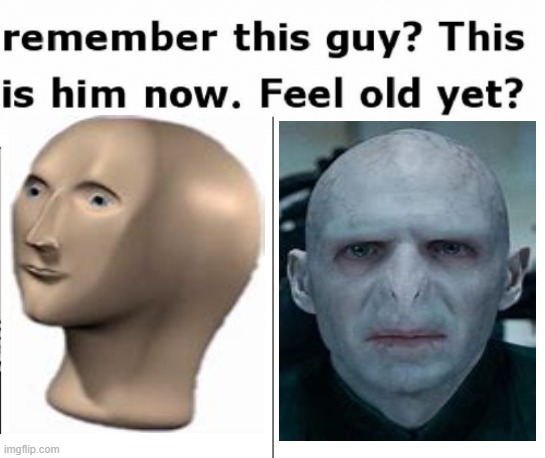Voldemort go brrrr | image tagged in remember this guy | made w/ Imgflip meme maker