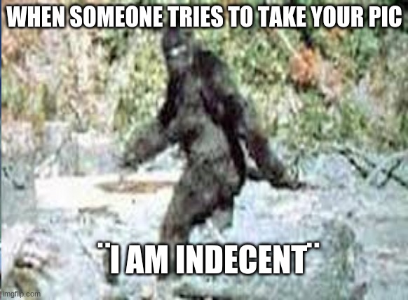 UHOH | WHEN SOMEONE TRIES TO TAKE YOUR PIC; ¨I AM INDECENT¨ | image tagged in bigfoot,forest | made w/ Imgflip meme maker
