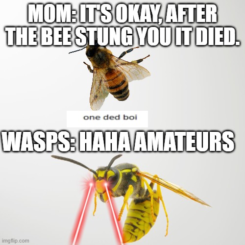 Wasps cant die. Run. | MOM: IT'S OKAY, AFTER THE BEE STUNG YOU IT DIED. WASPS: HAHA AMATEURS | image tagged in wasp | made w/ Imgflip meme maker