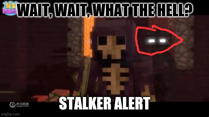 Stalker Alert |  WAIT, WAIT, WHAT THE HELL? STALKER ALERT | image tagged in youtube,stalker,minecraft | made w/ Imgflip meme maker