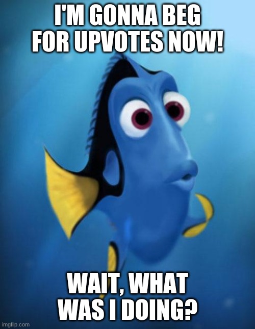 Wait, what was I doing? | I'M GONNA BEG FOR UPVOTES NOW! WAIT, WHAT WAS I DOING? | image tagged in dory,memes,begging for upvotes,upvote begging,amnesia,upvotes | made w/ Imgflip meme maker
