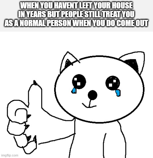 crying thumbs up cat re-drawn | WHEN YOU HAVENT LEFT YOUR HOUSE IN YEARS BUT PEOPLE STILL TREAT YOU AS A NORMAL PERSON WHEN YOU DO COME OUT | image tagged in funny cat memes | made w/ Imgflip meme maker
