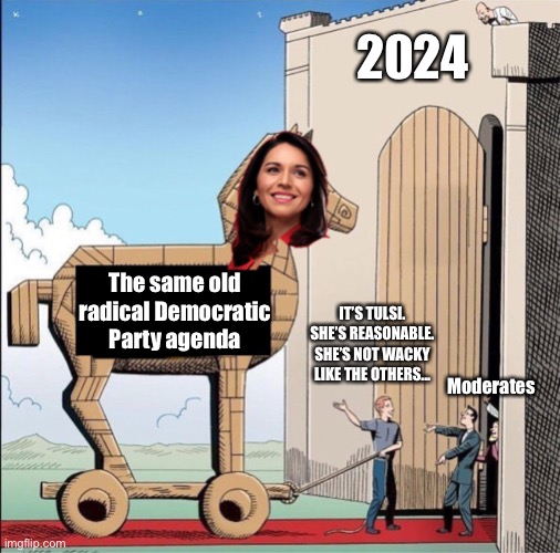 Beware of Tulsi Gabbard 2024... | 2024; The same old radical Democratic Party agenda; IT’S TULSI. SHE’S REASONABLE. SHE’S NOT WACKY LIKE THE OTHERS... Moderates | image tagged in tulsi,beware of tulsi gabbard 2024,there are still billboards of her all over iowa,big money still likes her,ConservativeMemes | made w/ Imgflip meme maker