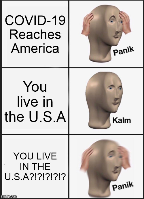 Thats not good | COVID-19 Reaches America; You live in the U.S.A; YOU LIVE IN THE U.S.A?!?!?!?!? | image tagged in memes,panik kalm panik | made w/ Imgflip meme maker