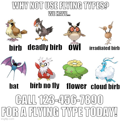 why not use flying types? | WHY NOT USE FLYING TYPES? WE HAVE... owl; deadly birb; birb; irradiated birb; birb no fly; flower; cloud birb; bat; CALL 123-456-7890 FOR A FLYING TYPE TODAY! | image tagged in pokemon,memes | made w/ Imgflip meme maker