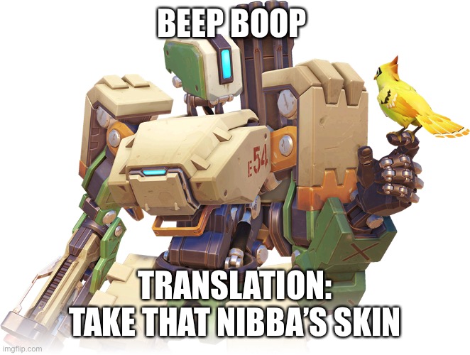 Translation bastion | BEEP BOOP; TRANSLATION: TAKE THAT NIBBA’S SKIN | image tagged in overwatch | made w/ Imgflip meme maker