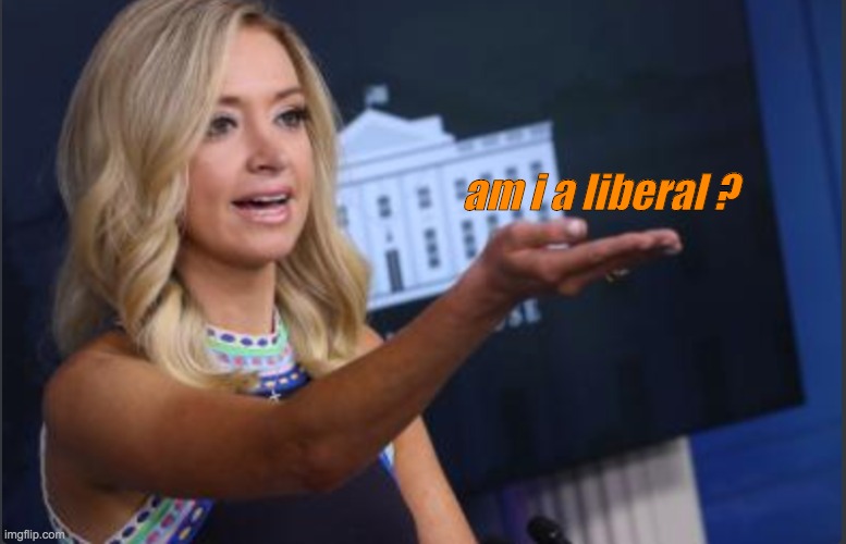 test results come in | am i a liberal ? | image tagged in conservatives | made w/ Imgflip meme maker