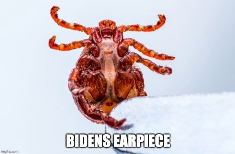 it's the tick | image tagged in conservatives | made w/ Imgflip meme maker