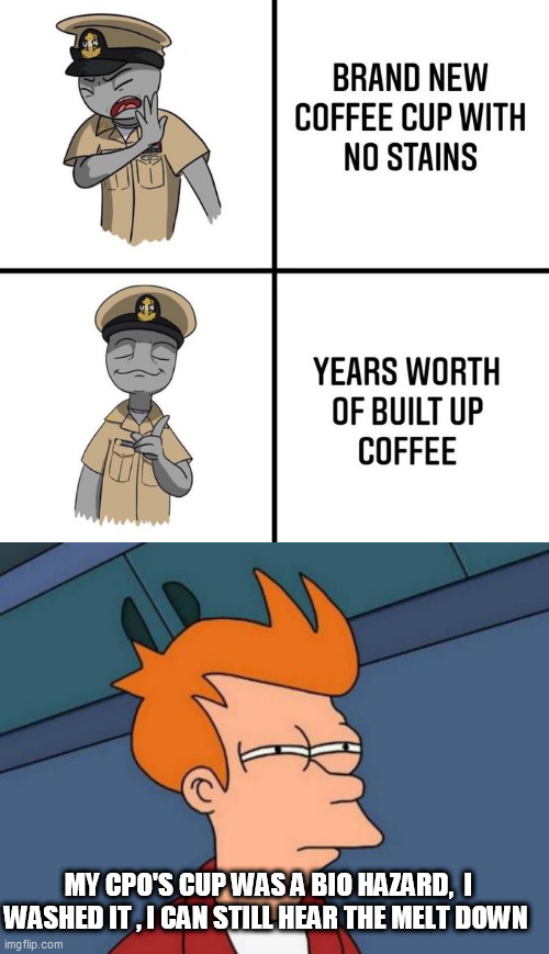 MY CPO'S CUP WAS A BIO HAZARD,  I WASHED IT , I CAN STILL HEAR THE MELT DOWN | image tagged in memes,futurama fry,cpo | made w/ Imgflip meme maker