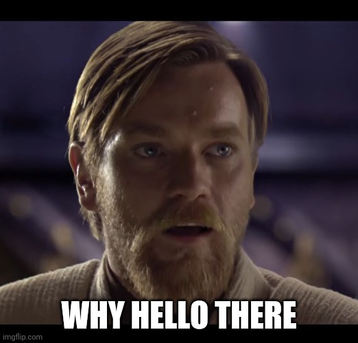 Well hellohellohellohelllohello | WHY HELLO THERE | image tagged in hello there | made w/ Imgflip meme maker