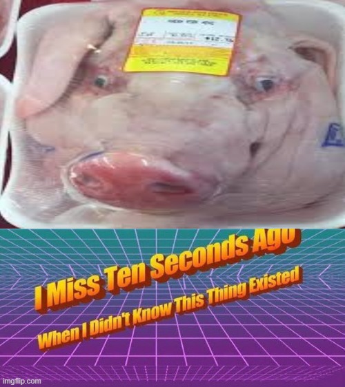 Pig Face | image tagged in i miss ten seconds ago | made w/ Imgflip meme maker