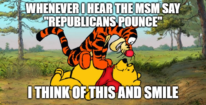 Tigger Pounce | WHENEVER I HEAR THE MSM SAY
"REPUBLICANS POUNCE"; I THINK OF THIS AND SMILE | image tagged in tigger pounce | made w/ Imgflip meme maker