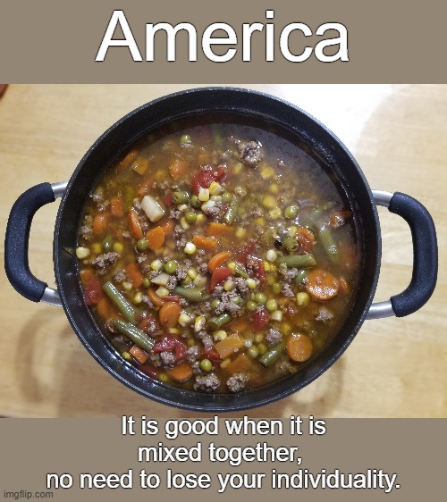 This country is less of a melting pot and more of a melding pot. | America; It is good when it is
mixed together, 
no need to lose your individuality. | image tagged in america | made w/ Imgflip meme maker