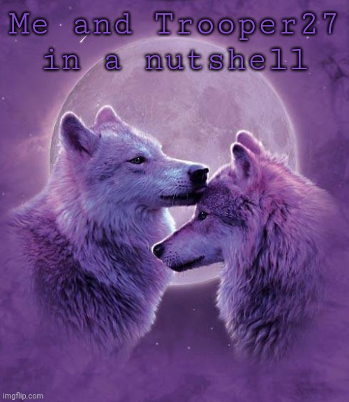 Wolf lovers | Me and Trooper27 in a nutshell | image tagged in wolf lovers | made w/ Imgflip meme maker
