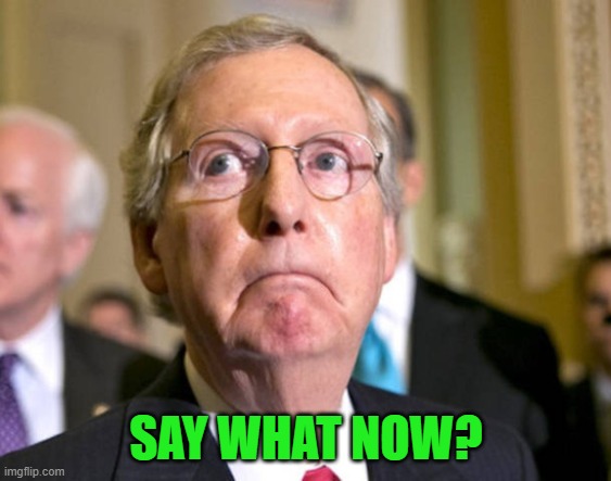 mitch mcconnell | SAY WHAT NOW? | image tagged in mitch mcconnell | made w/ Imgflip meme maker
