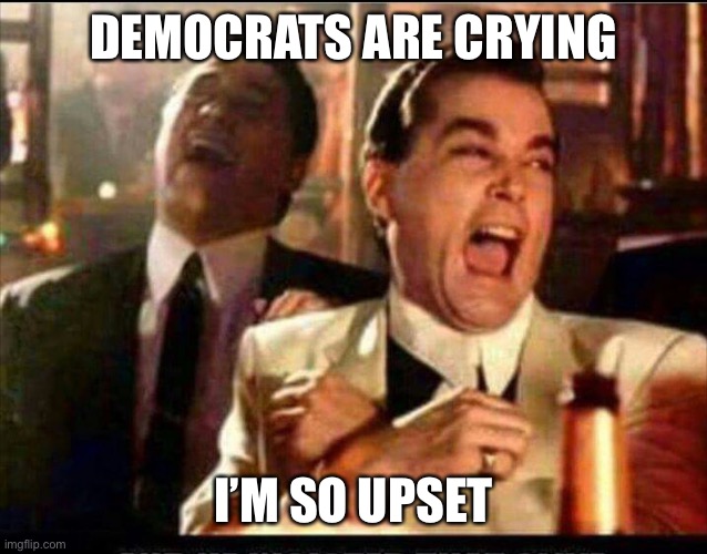 Lol good fellas  | DEMOCRATS ARE CRYING I’M SO UPSET | image tagged in lol good fellas | made w/ Imgflip meme maker
