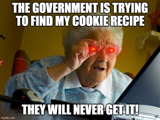 grandma hacker | THE GOVERNMENT IS TRYING TO FIND MY COOKIE RECIPE; THEY WILL NEVER GET IT! | image tagged in memes,grandma finds the internet | made w/ Imgflip meme maker