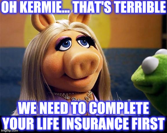 miss piggy | OH KERMIE... THAT'S TERRIBLE WE NEED TO COMPLETE YOUR LIFE INSURANCE FIRST | image tagged in miss piggy | made w/ Imgflip meme maker