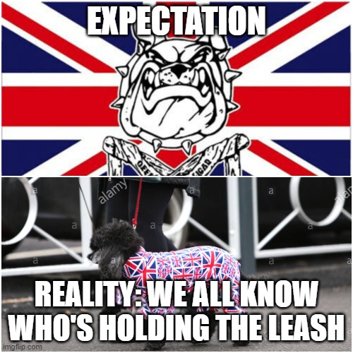 EXPECTATION; REALITY: WE ALL KNOW WHO'S HOLDING THE LEASH | made w/ Imgflip meme maker