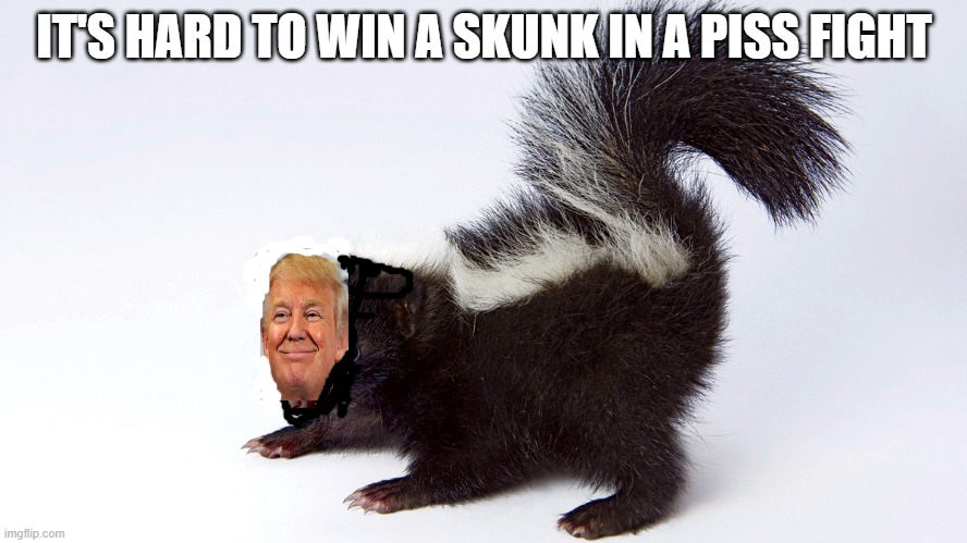Political Skunk | IT'S HARD TO WIN A SKUNK IN A PISS FIGHT | image tagged in political skunk | made w/ Imgflip meme maker