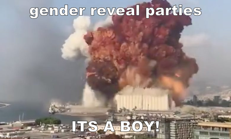 gender reveal parties; ITS A BOY! | image tagged in beirut,explosion,funny,meme | made w/ Imgflip meme maker