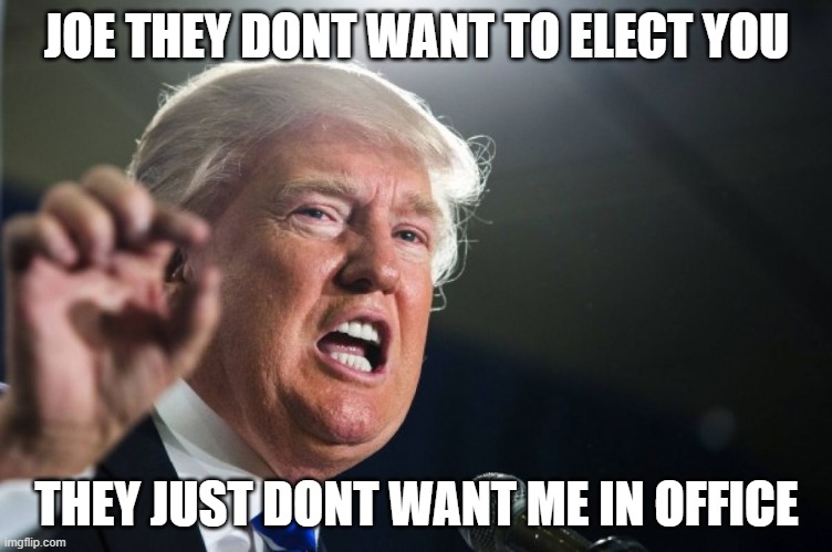 donald trump | JOE THEY DONT WANT TO ELECT YOU; THEY JUST DONT WANT ME IN OFFICE | image tagged in donald trump | made w/ Imgflip meme maker