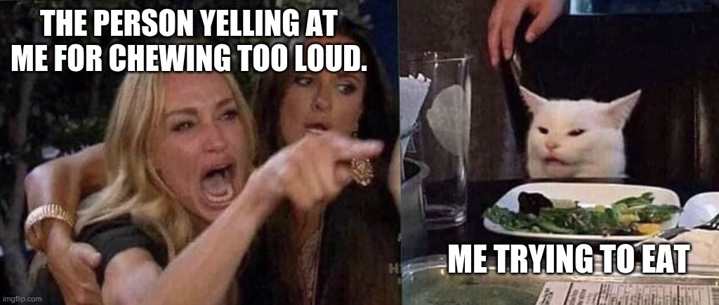 woman yelling at cat | THE PERSON YELLING AT ME FOR CHEWING TOO LOUD. ME TRYING TO EAT | image tagged in woman yelling at cat | made w/ Imgflip meme maker