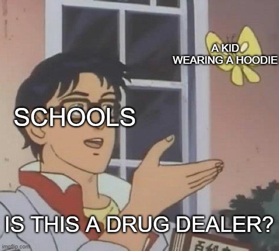 no |  A KID WEARING A HOODIE; SCHOOLS; IS THIS A DRUG DEALER? | image tagged in memes,is this a pigeon,school | made w/ Imgflip meme maker