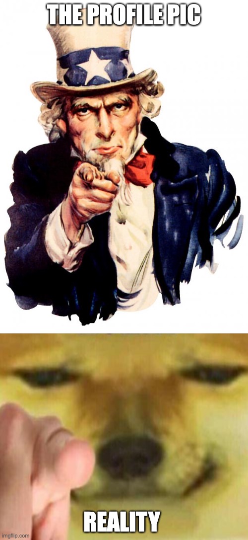 profile pics... |  THE PROFILE PIC; REALITY | image tagged in memes,uncle sam,cheems pointing at you | made w/ Imgflip meme maker