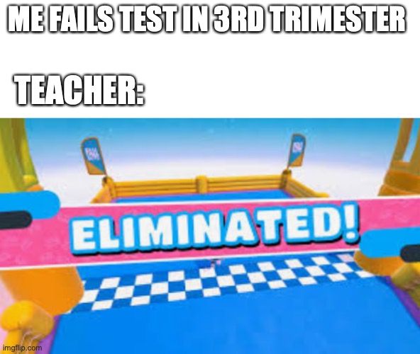 just how the cookie crumbles |  ME FAILS TEST IN 3RD TRIMESTER; TEACHER: | image tagged in fall guys eliminated | made w/ Imgflip meme maker