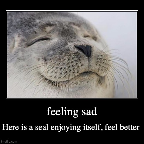 feel sad... | image tagged in funny,demotivationals | made w/ Imgflip demotivational maker