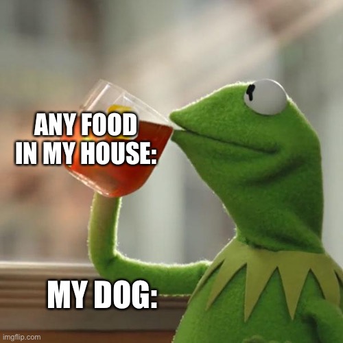 But That's None Of My Business | ANY FOOD IN MY HOUSE:; MY DOG: | image tagged in memes,but that's none of my business,kermit the frog,dog,food,begging | made w/ Imgflip meme maker