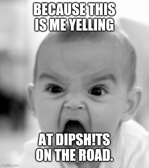Angry Baby Meme | BECAUSE THIS IS ME YELLING AT DIPSH!TS ON THE ROAD. | image tagged in memes,angry baby | made w/ Imgflip meme maker
