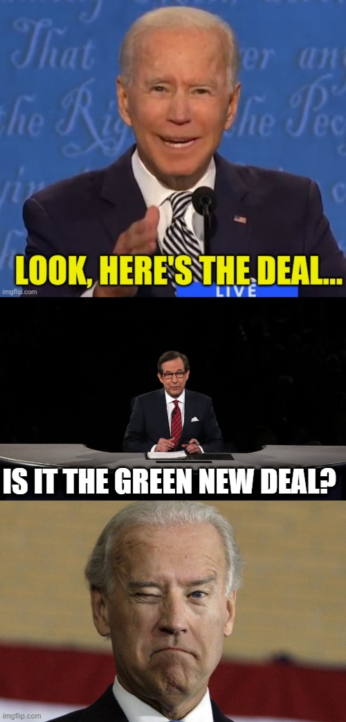 IS IT THE GREEN NEW DEAL? | image tagged in chris wallace | made w/ Imgflip meme maker