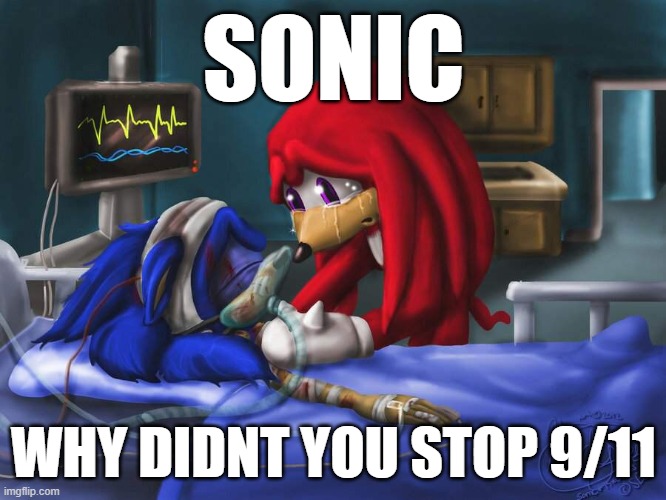 sonic why | SONIC; WHY DIDNT YOU STOP 9/11 | image tagged in sonic the hedgehog,sonic,9/11 | made w/ Imgflip meme maker