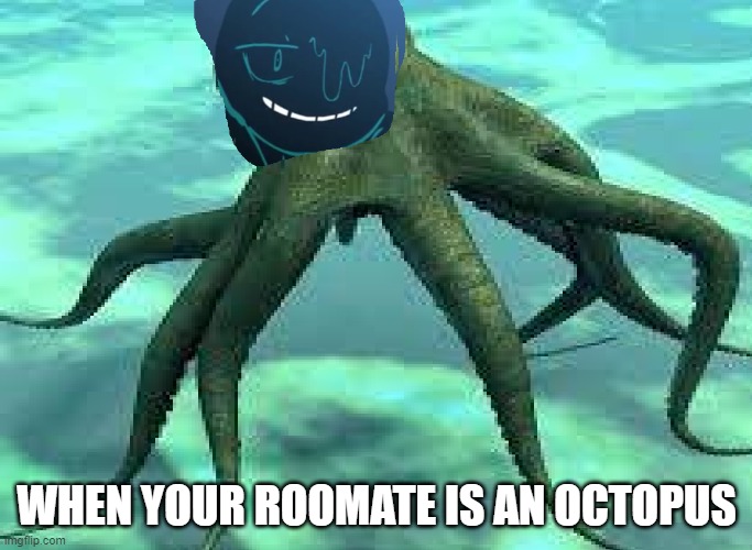 When your roommate is an octopus | WHEN YOUR ROOMATE IS AN OCTOPUS | image tagged in funny,octopus | made w/ Imgflip meme maker