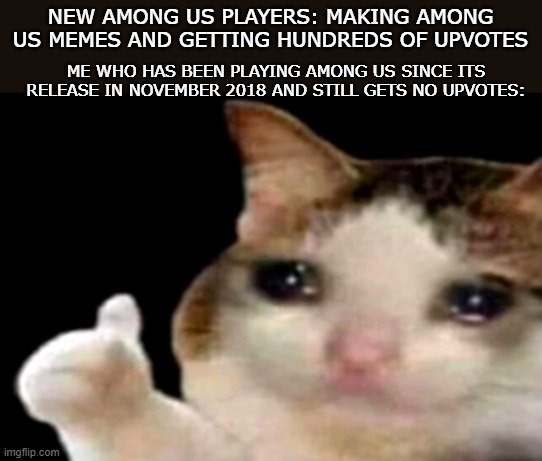 Sad cat thumbs up | NEW AMONG US PLAYERS: MAKING AMONG US MEMES AND GETTING HUNDREDS OF UPVOTES; ME WHO HAS BEEN PLAYING AMONG US SINCE ITS RELEASE IN NOVEMBER 2018 AND STILL GETS NO UPVOTES: | image tagged in sad cat thumbs up | made w/ Imgflip meme maker