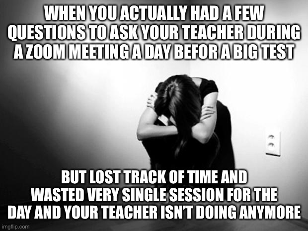 I feel so stupid | WHEN YOU ACTUALLY HAD A FEW QUESTIONS TO ASK YOUR TEACHER DURING A ZOOM MEETING A DAY BEFOR A BIG TEST; BUT LOST TRACK OF TIME AND WASTED VERY SINGLE SESSION FOR THE DAY AND YOUR TEACHER ISN’T DOING ANYMORE | image tagged in depression sadness hurt pain anxiety | made w/ Imgflip meme maker