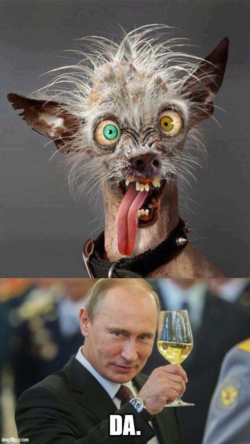 DA. | image tagged in trump,putin,dog,russia | made w/ Imgflip meme maker