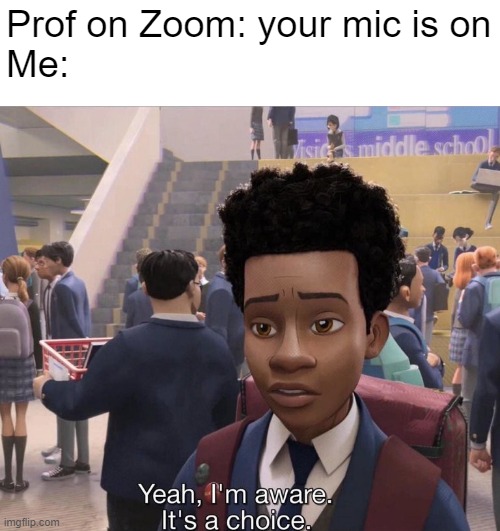 Yeah, I'm aware. It's a choice. | Prof on Zoom: your mic is on
Me: | image tagged in yeah i'm aware it's a choice,zoom,microphone,school | made w/ Imgflip meme maker