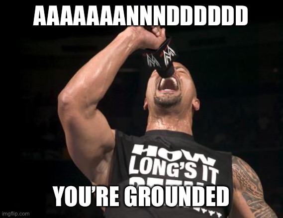 the rock finally | AAAAAAANNNDDDDDD YOU’RE GROUNDED | image tagged in the rock finally | made w/ Imgflip meme maker